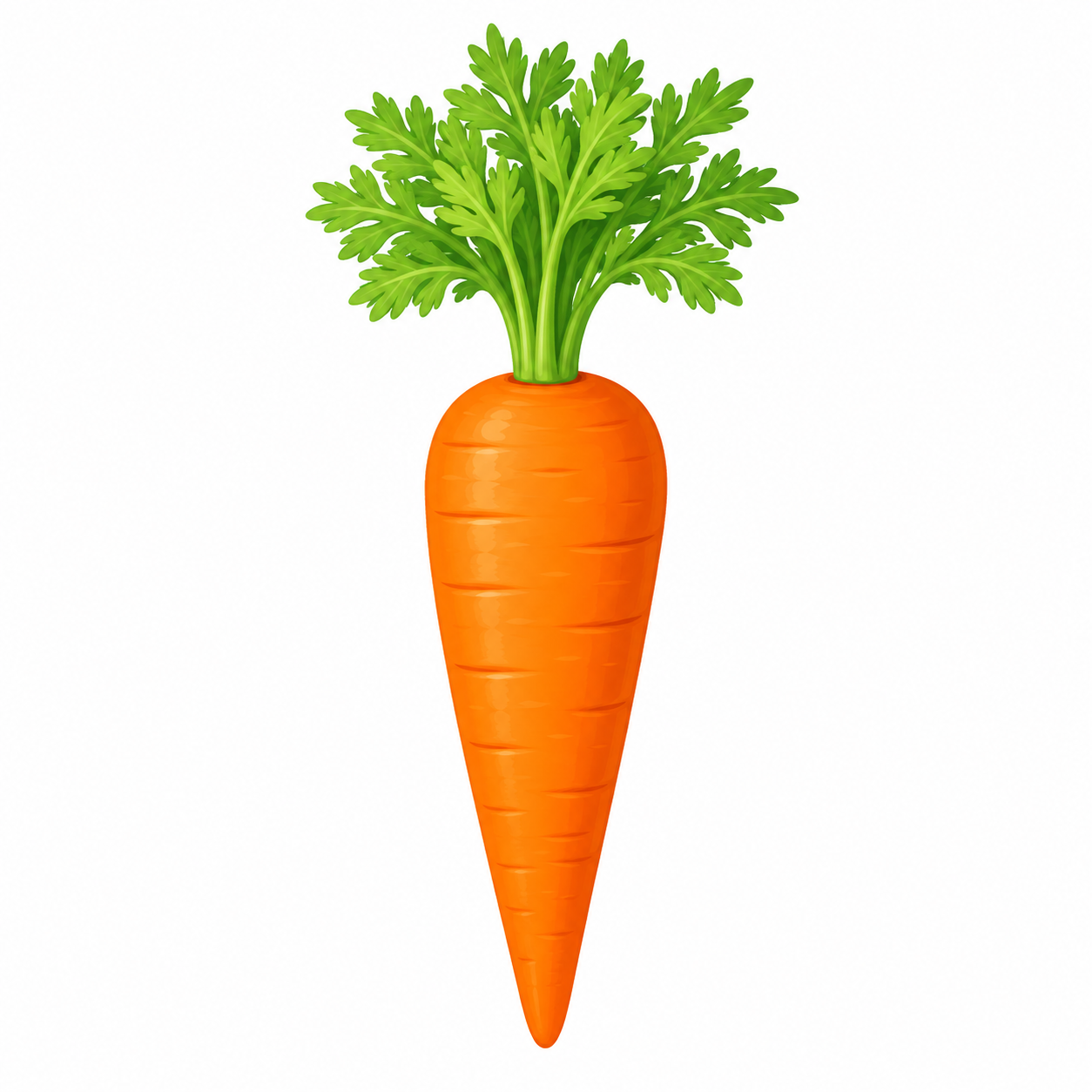 Carrot