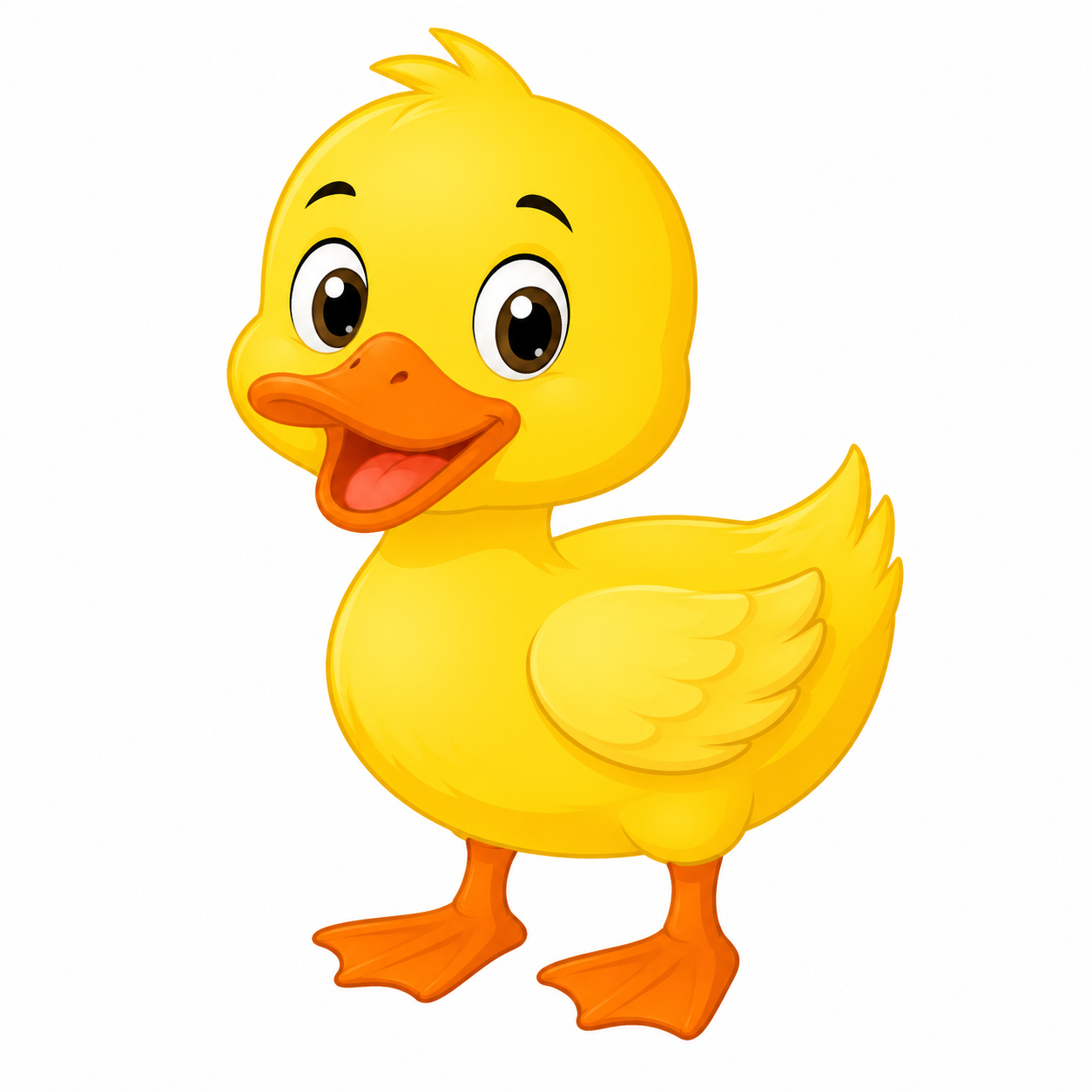 Duck