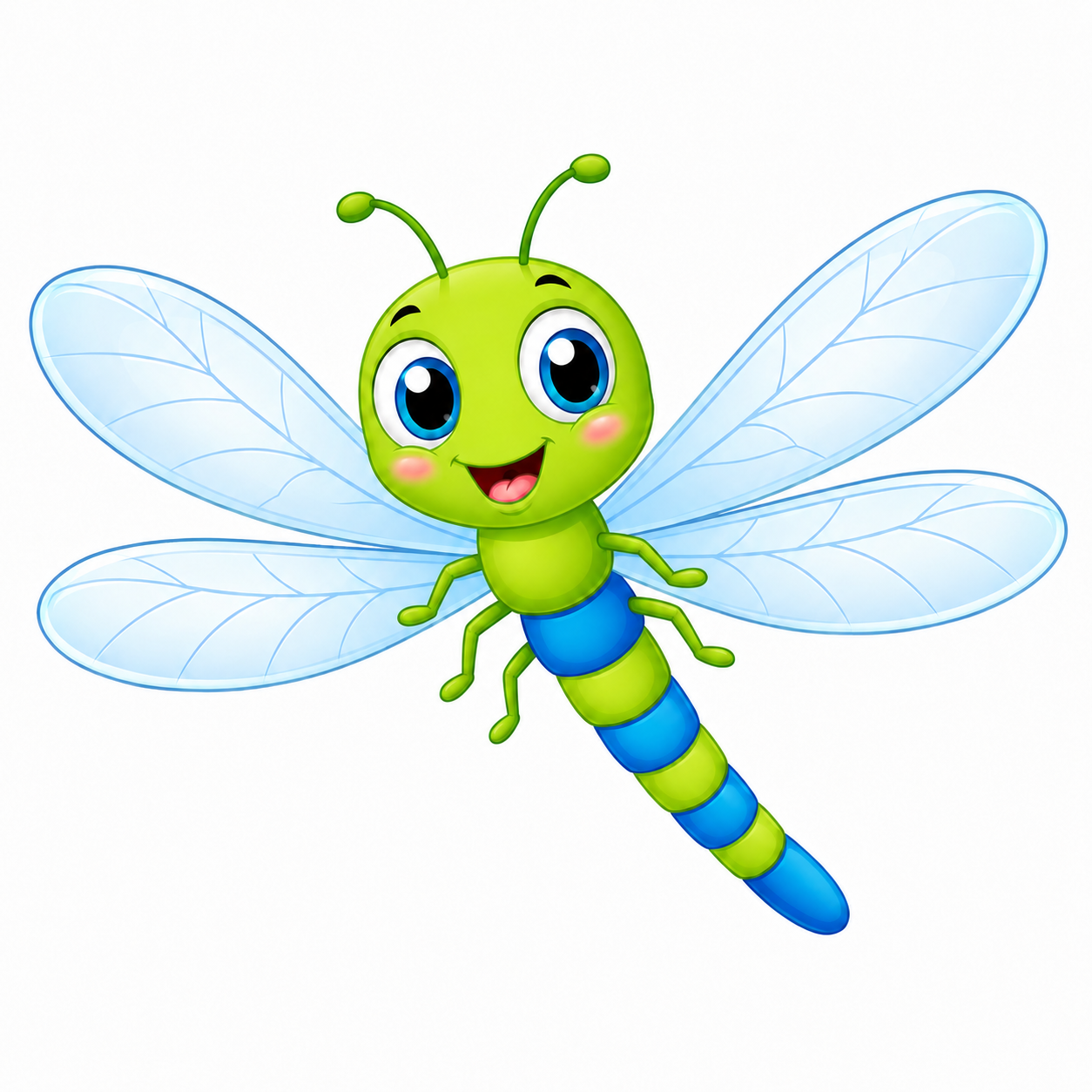 Insect